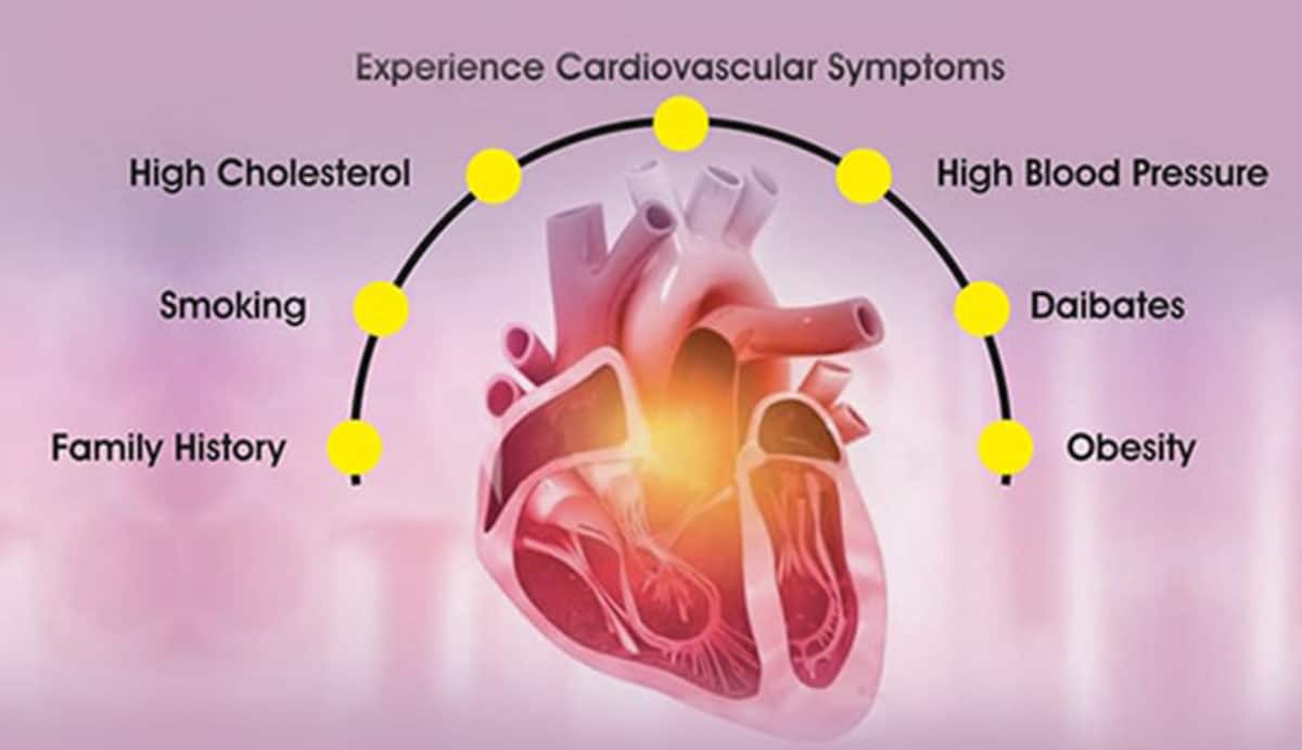 10 Of The Best Cardiologist In Ballarat Doctor To You   Unnamed File 6 